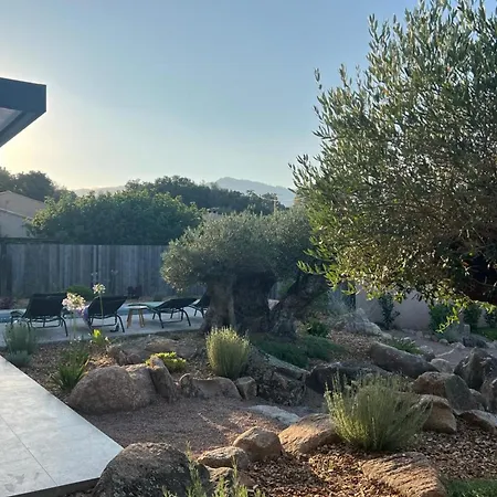Contemporary With Pool In Trinite بيت للعطل بورتو فيكشْيو