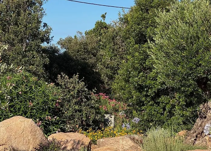 Casa de Férias Contemporary With Pool In Trinite *